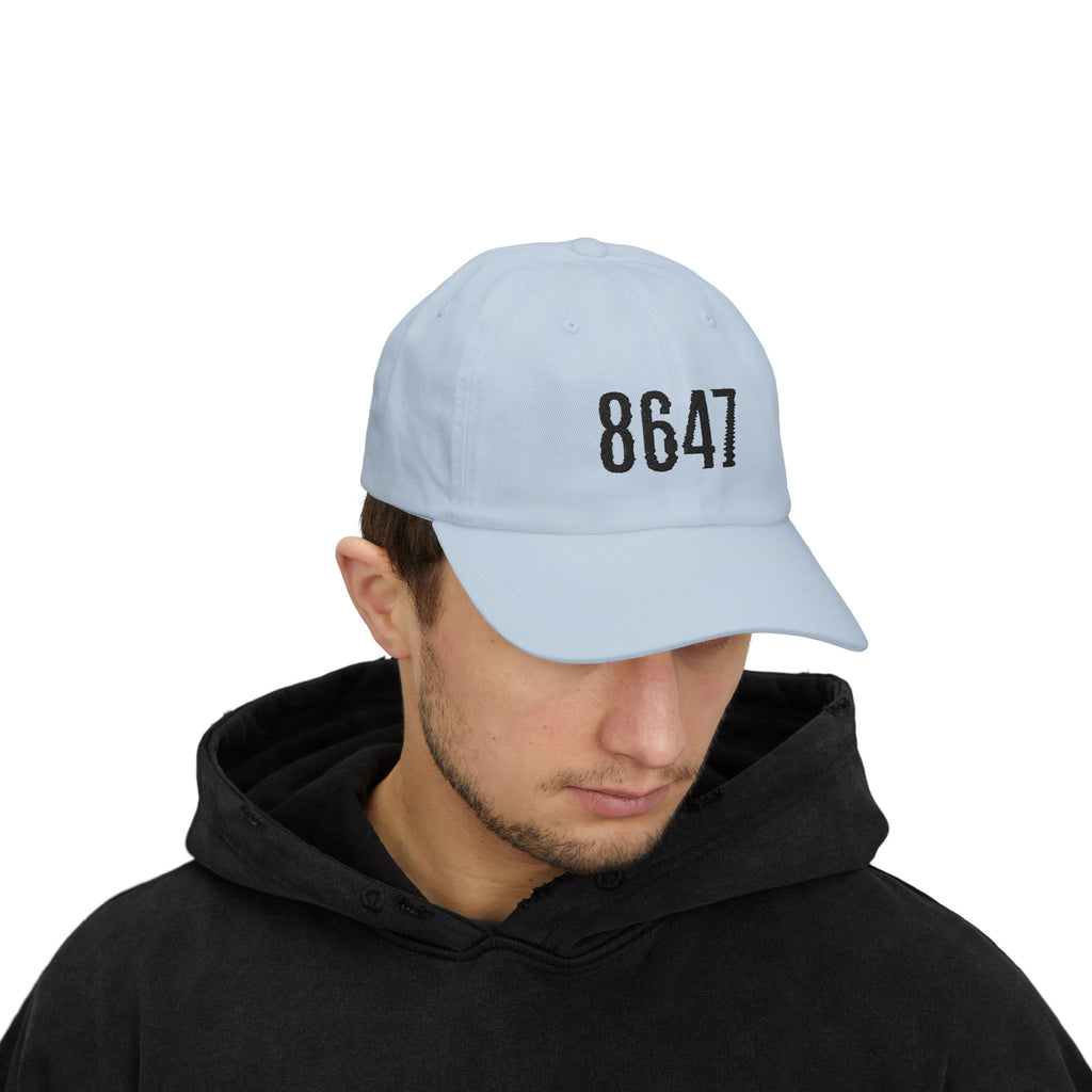 8647 Unisex Hat